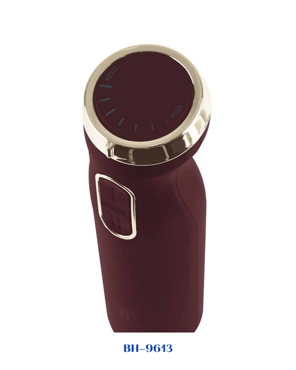 BERLINGER HAUS HAND BLENDER