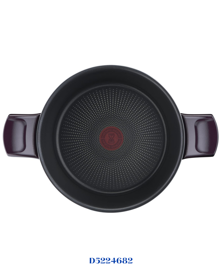 TEFAL RESIST INTENSE STEWPOT 24CM + GLASS LID