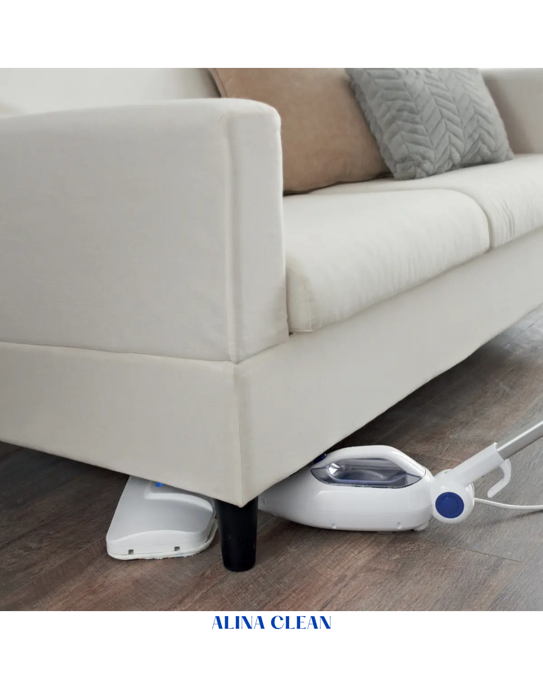 FAKIR ALINA CLEAN MULTIFUNCTIONAL STEAM CLEANER 1300W