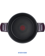 TEFAL RESIST INTENSE STEWPOT  WITH GLASS LID 22CM