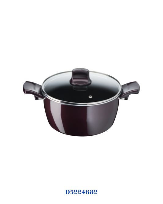 TEFAL RESIST INTENSE STEWPOT 24CM + GLASS LID