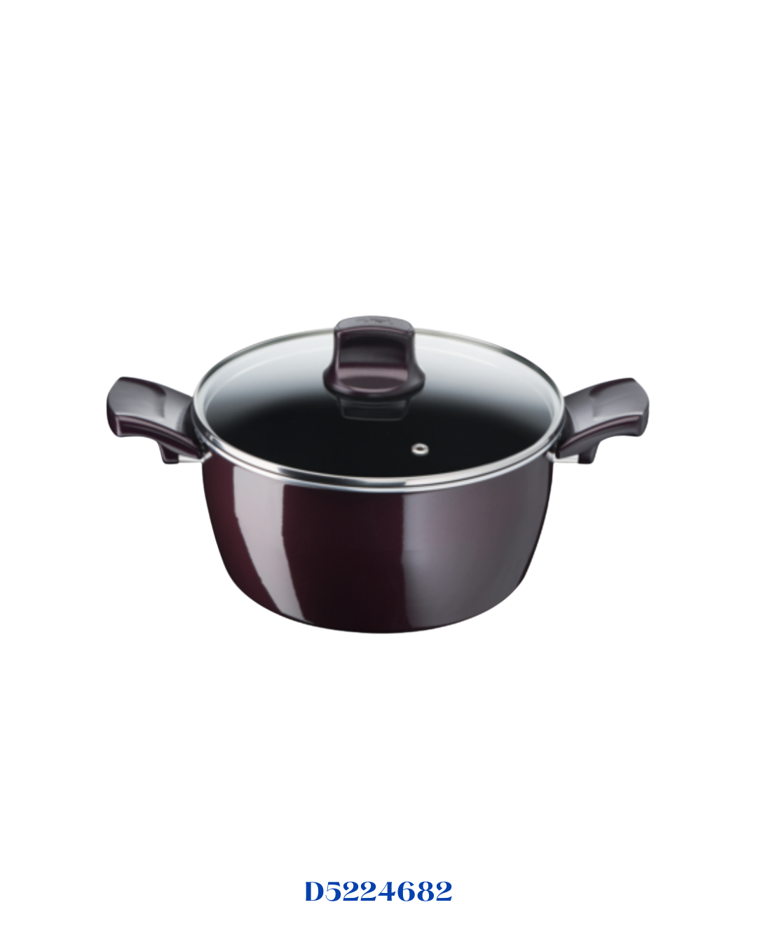 TEFAL RESIST INTENSE STEWPOT 24CM + GLASS LID