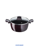 TEFAL RESIST INTENSE STEWPOT 24CM + GLASS LID