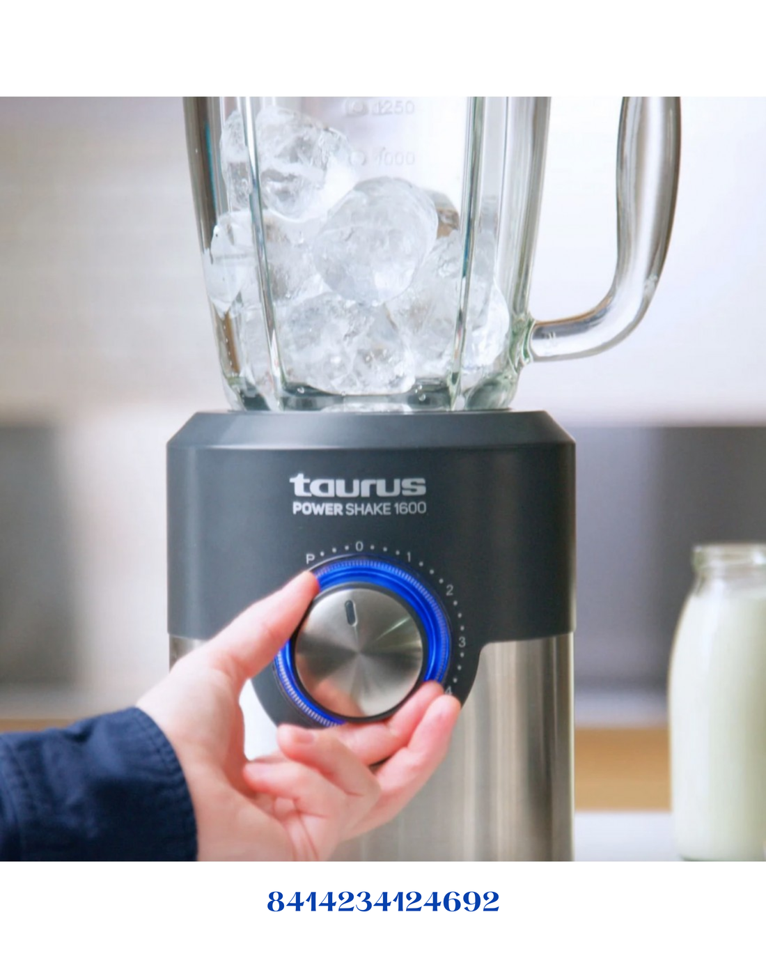 TAURUS BAPI HAND BLENDER 1000W