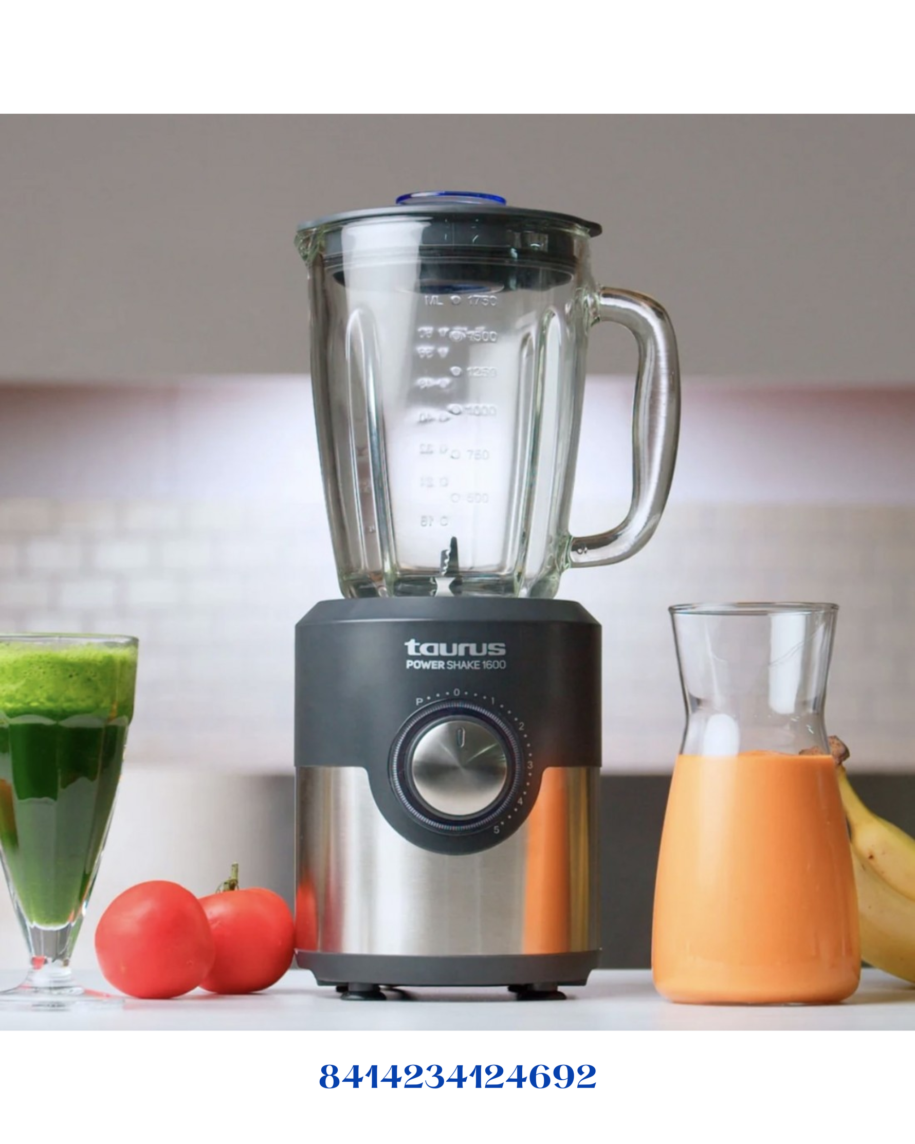 TAURUS BAPI HAND BLENDER 1000W